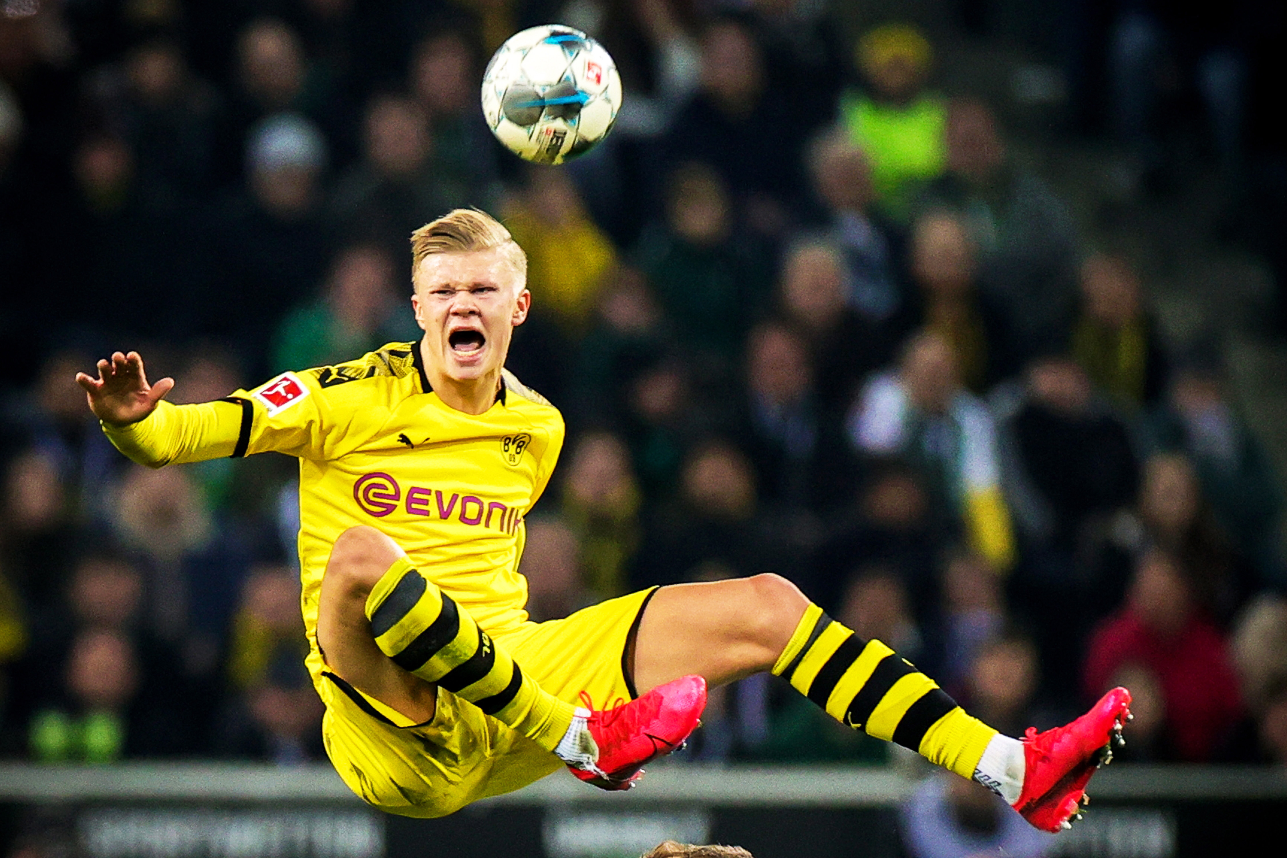 永利澳门2025年高端餐饮收入增长35%